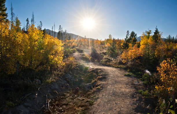 Autumn in the Mountains Hiking trail in the fall within the Rocky Mountains Colorado Trail stock pictures, royalty-free photos & images