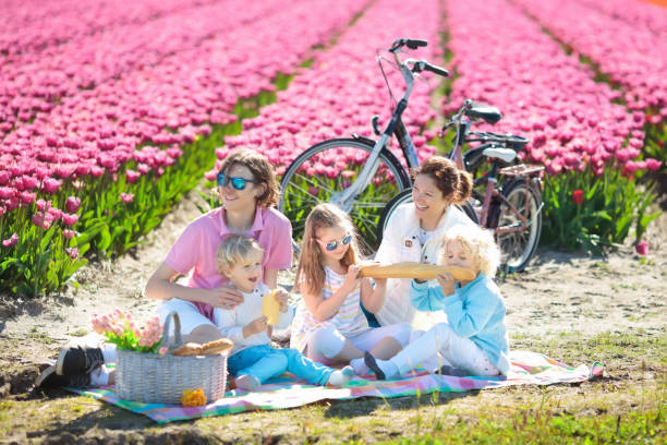 Snack Hacks for Biking Families: What to Pack & Why